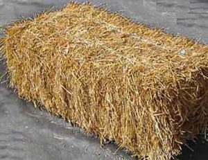 petite_paille petite_paille