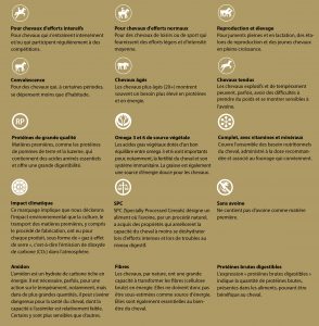 Catalogue_krafft_conseils_mini
