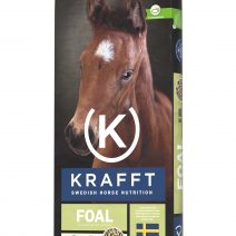 Krafft_foal Krafft_foal