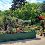 FB_IMG_1658845791123