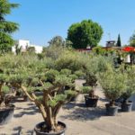 FB_IMG_1658845808480