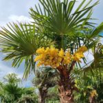 FB_IMG_1658845834934