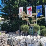 FB_IMG_1658845903850