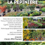 PAGE PEPINIERE P8